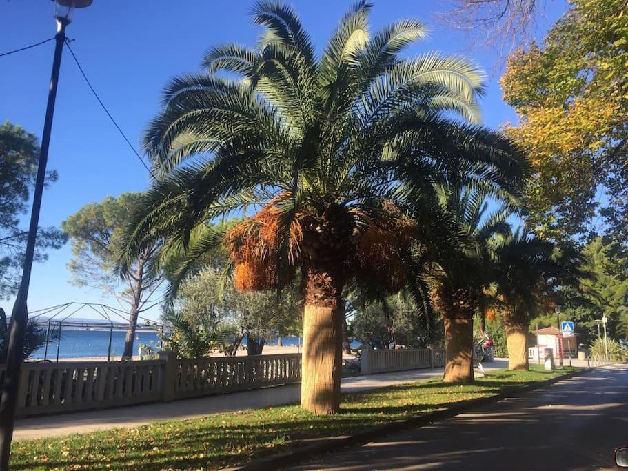 Ferienwohnung Nena In Crikvenica Exterior foto