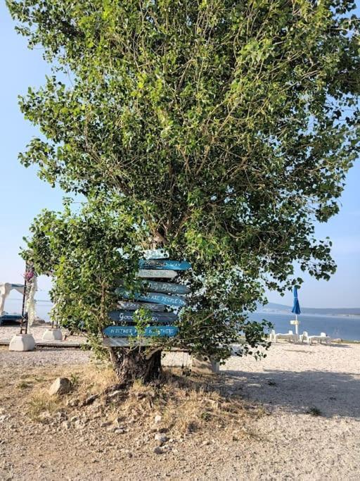 Ferienwohnung Nena In Crikvenica Exterior foto